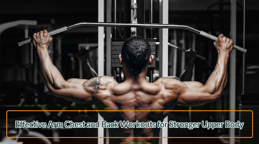 Arm Chest and Back Workouts