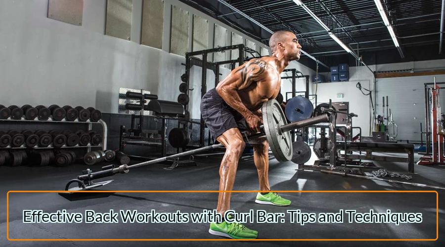 Back Workouts with Curl Bar