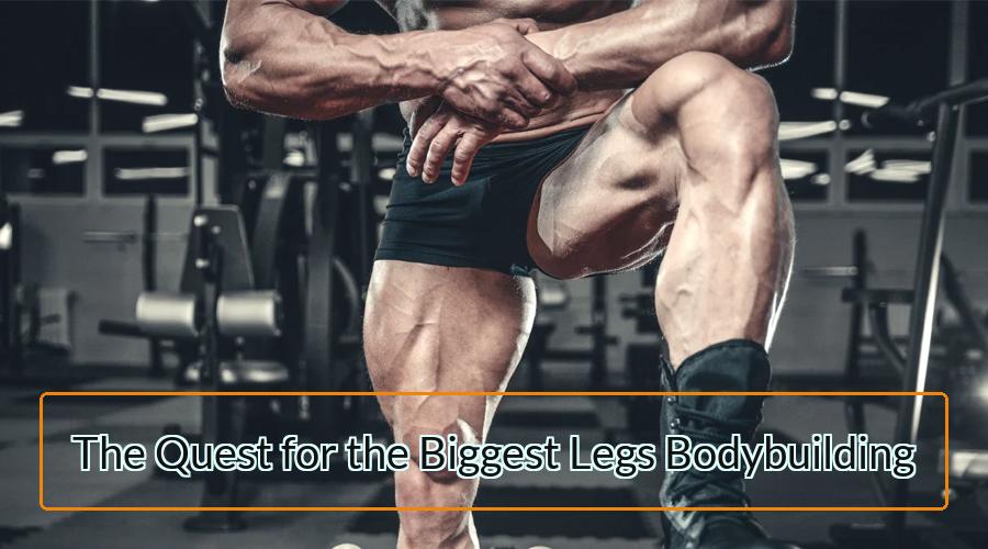 Legs Bodybuilding