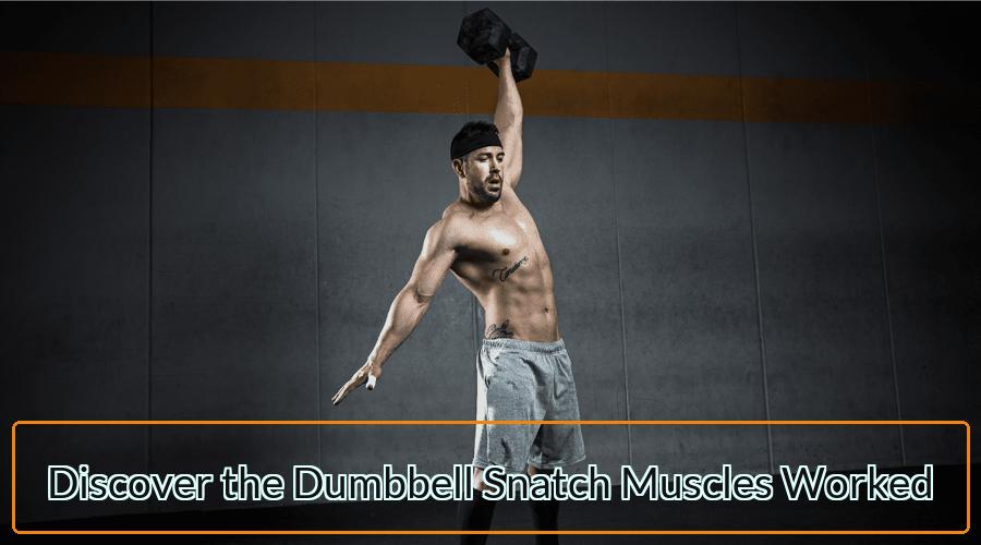 Dumbbell Snatch Muscles