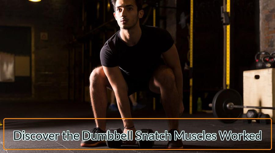 Dumbbell Snatch Muscles